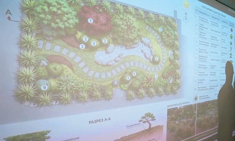 В Новороссийске ТОСовцы приняли участие в обсуждении водно-зеленого каркаса города