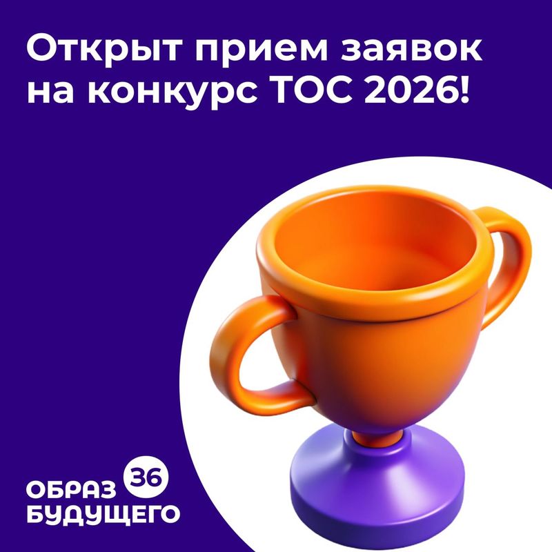 В Воронежской области объявлен конкурс грантов для ТОС
