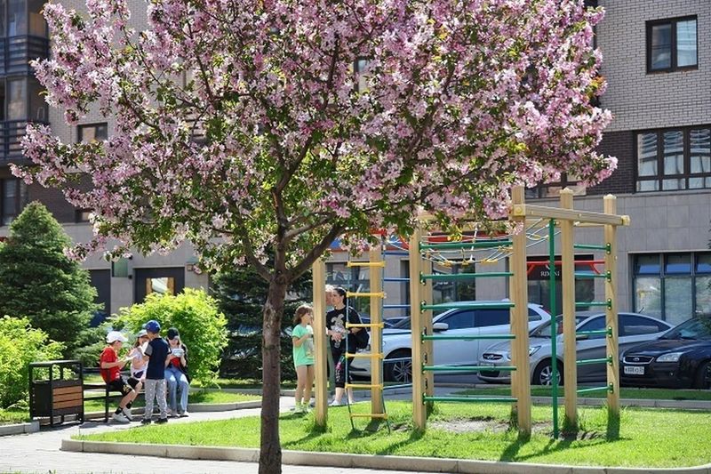 Нажмите для просмотра в полном размере В Хабаровске подвели итоги городского конкурса проектов ТОС