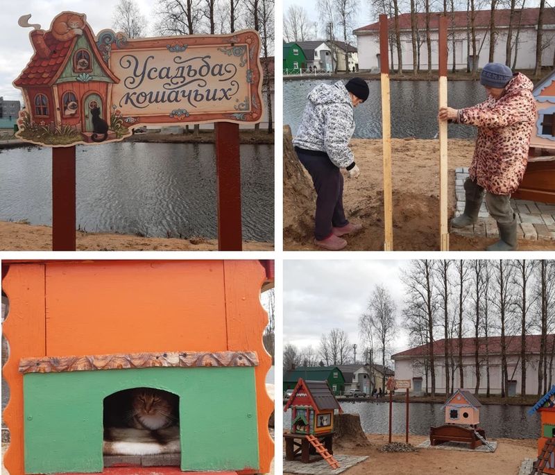 В Псковской области ТОСовцы открыли "Усадьбу кошачьих"