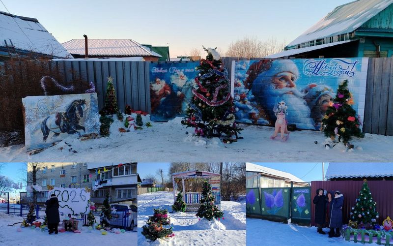 В Биробиджане проходит ежегодный конкурс «Елка нашего двора»