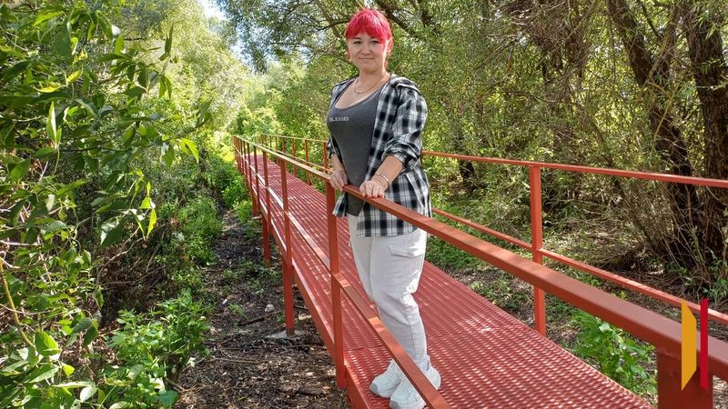 В Воронежской области ТОСовцы отремонтировали два пешеходных моста